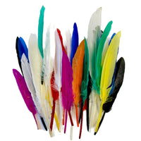 Goose Feathers