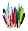 A collection of multi-colored goose feathers, ranging in size from approximately 8cm to 15cm in length.