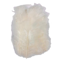 Turkey Feathers 10gm